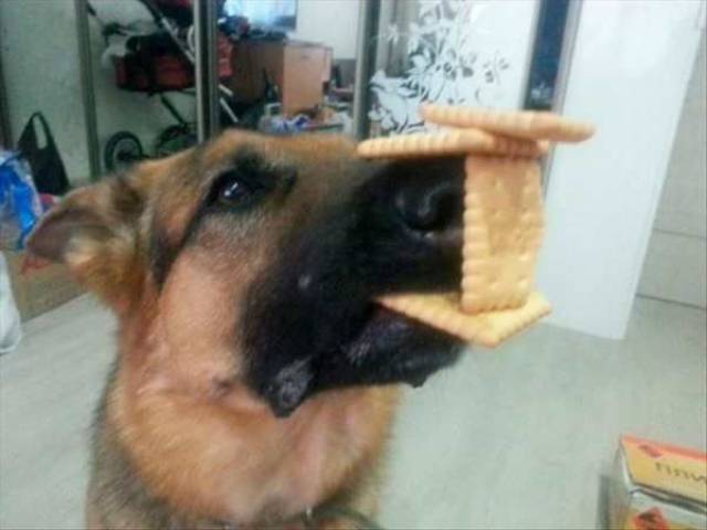 daily picdump 96 pics 31.html - 96 HD Photos | Premium Gallery 2017