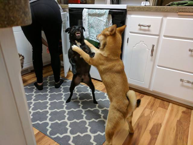 daily picdump 96 pics 31.html - 96 HD Photos | Premium Gallery 2017