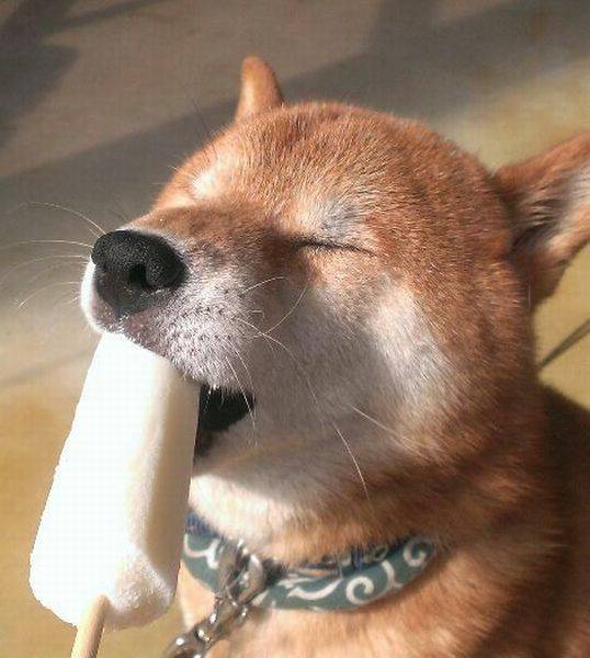 daily picdump 96 pics 31.html - 96 HD Photos | Premium Gallery 2017
