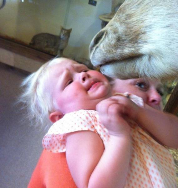 daily picdump 96 pics 31.html - 96 HD Photos | Premium Gallery 2017