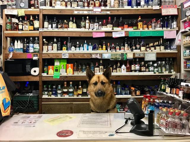 daily picdump 96 pics 31.html - 96 HD Photos | Premium Gallery 2017
