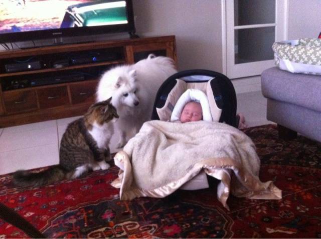 Daily Picdump