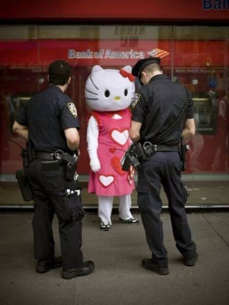 Daily Picdump