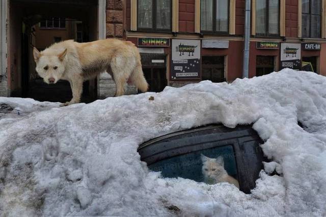 Daily Picdump