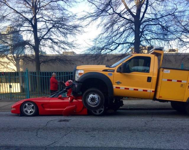 Daily Picdump