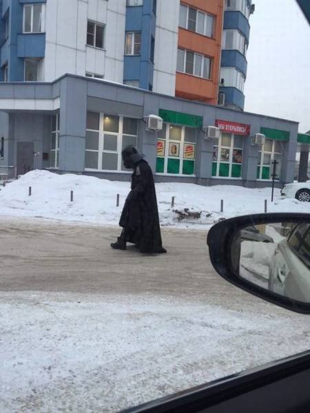Daily Picdump