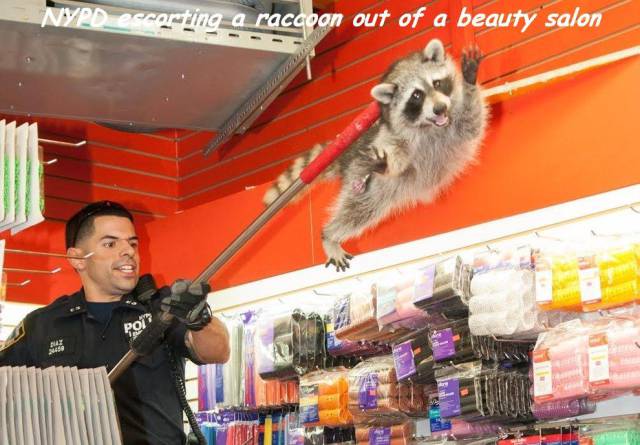 daily picdump 93 pics 38.html - 93 HD Photos | Premium Gallery 2017