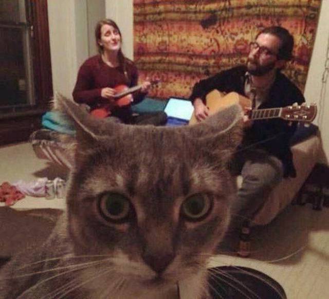 daily picdump 93 pics 38.html - 93 HD Photos | Premium Gallery 2017