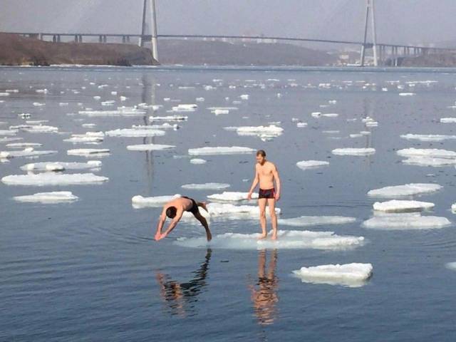 daily picdump 93 pics 38.html - 93 HD Photos | Premium Gallery 2017