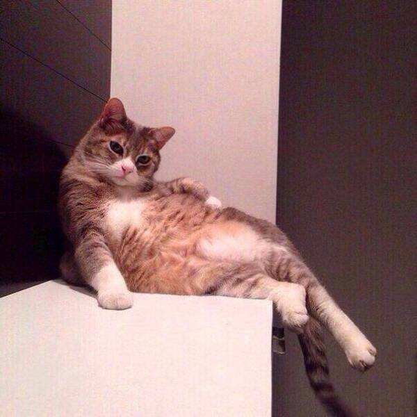 daily picdump 93 pics 38.html - 93 HD Photos | Premium Gallery 2017