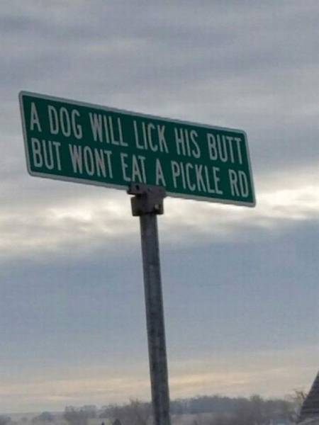 daily picdump 93 pics 38.html - 93 HD Photos | Premium Gallery 2017