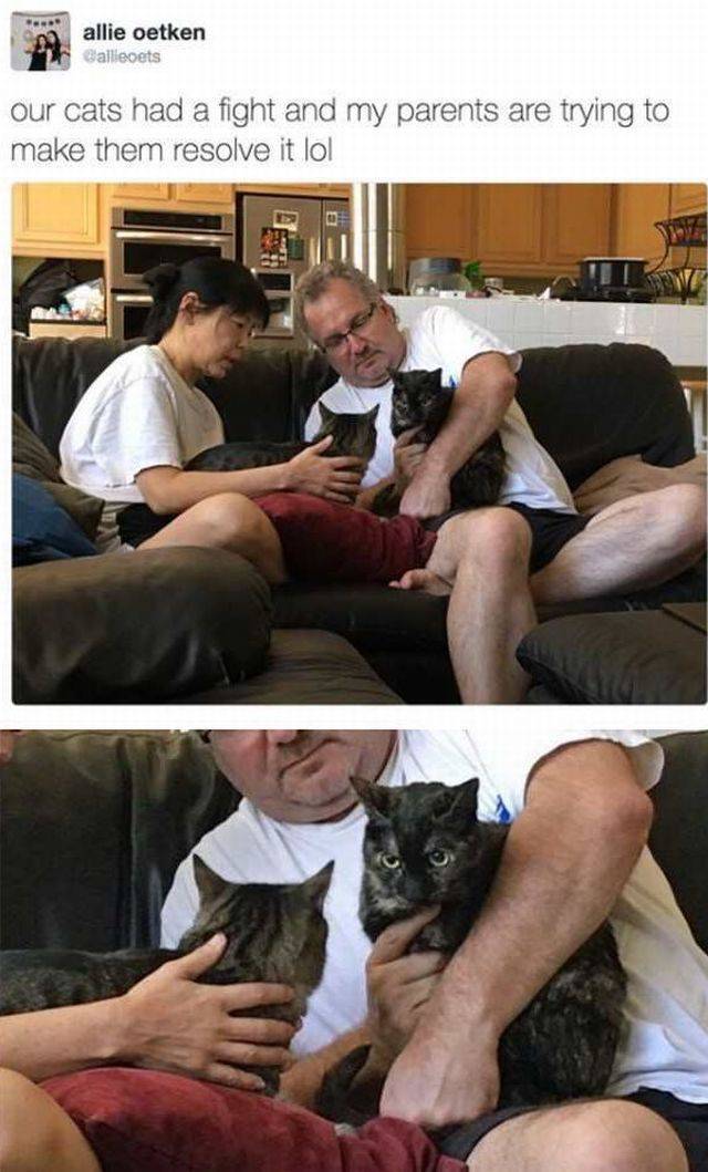 daily picdump 93 pics 38.html - 93 HD Photos | Premium Gallery 2017