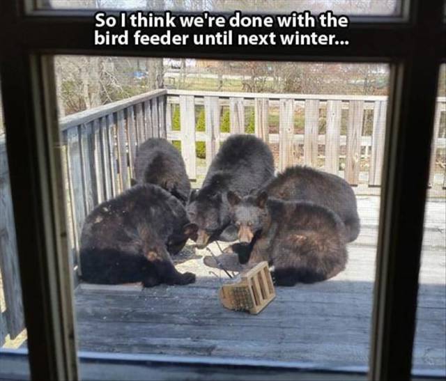 Funny Picdump