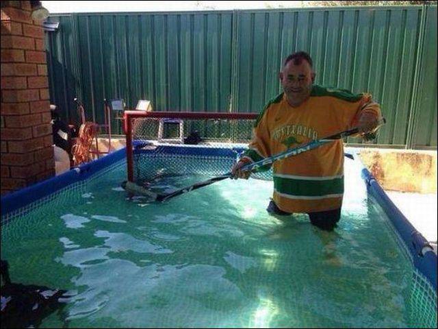 Daily Picdump