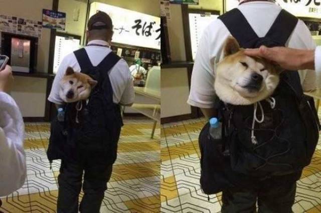 daily picdump 96 pics 9.html - 96 HD Photos | Premium Gallery 2017