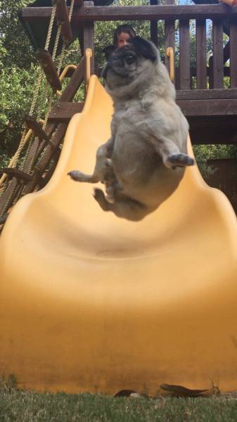 daily picdump 106 pics 23.html - 106 HD Photos | Premium Gallery 2017