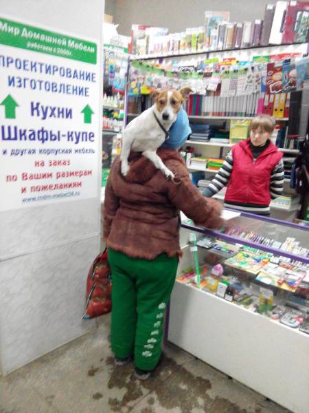 daily picdump 106 pics 23.html - 106 HD Photos | Premium Gallery 2017