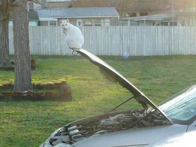 daily picdump 101 pics 45.html - 101 HD Photos | Premium Gallery 2017