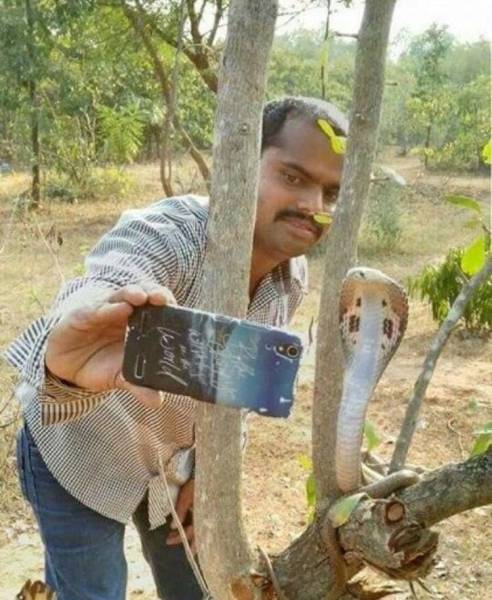 daily picdump 98 pics 43.html - 98 HD Photos | Premium Gallery 2017