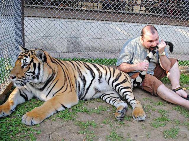 daily picdump 98 pics 43.html - 98 HD Photos | Premium Gallery 2017