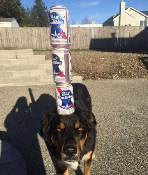 daily picdump 98 pics 43.html - 98 HD Photos | Premium Gallery 2017