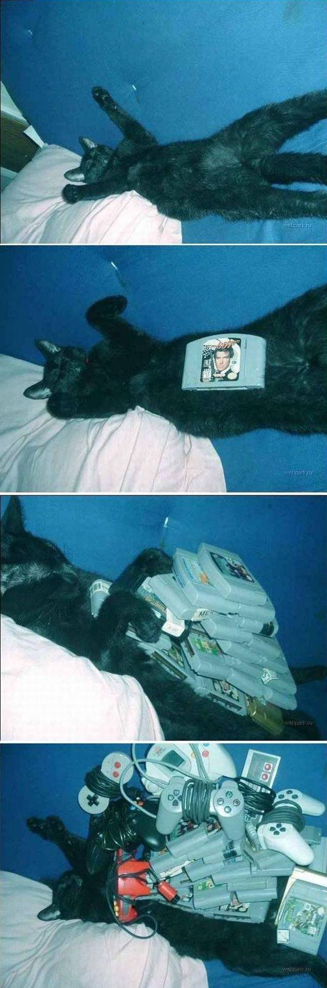 daily picdump 98 pics 43.html - 98 HD Photos | Premium Gallery 2017