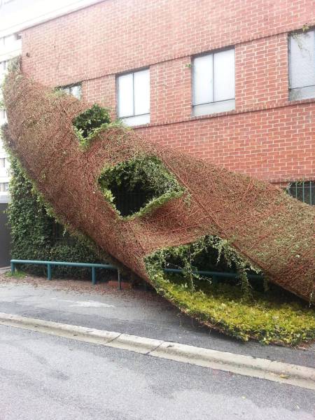 daily picdump 97 pics 4.html - 97 HD Photos | Premium Gallery 2017