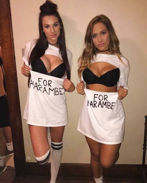 grownup corner 58 pics 9 gifs 33.html - 58 HD GIF | Premium Gallery 2017