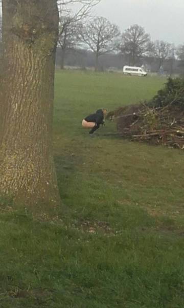 grownup corner 58 pics 9 gifs 33.html - 58 HD GIF | Premium Gallery 2017