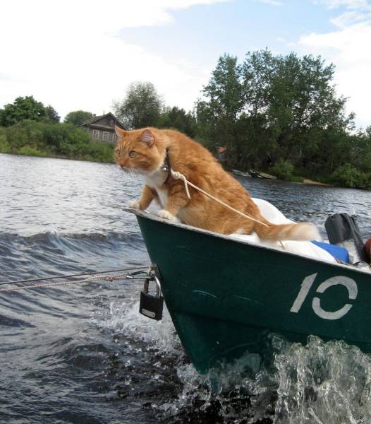 daily picdump 102 pics 25.html - 102 HD Photos | Premium Gallery 2017
