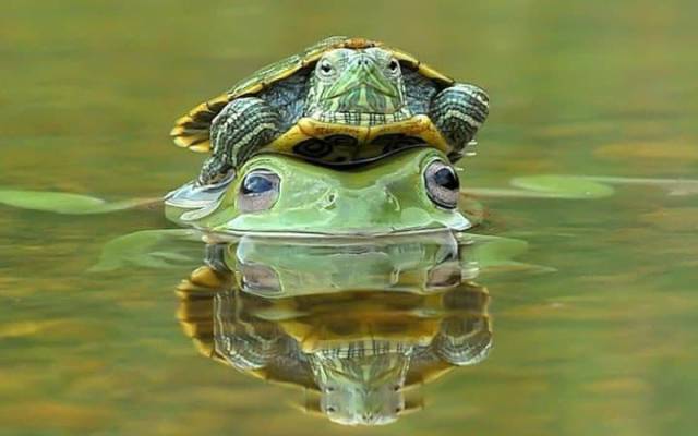 daily picdump 102 pics 25.html - 102 HD Photos | Premium Gallery 2017