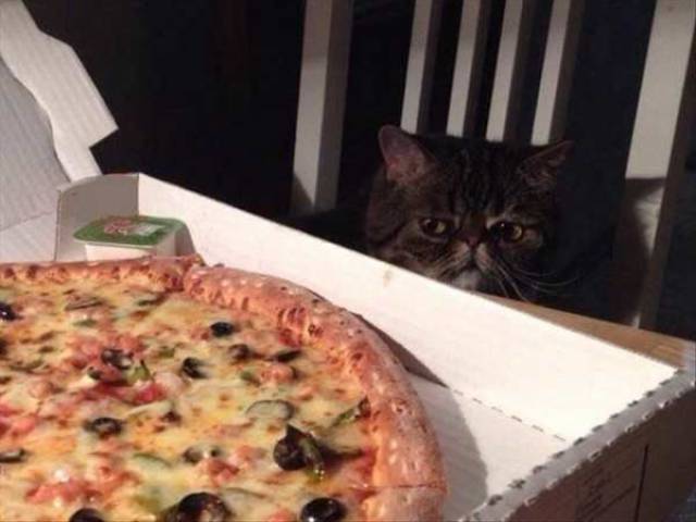 Daily Picdump