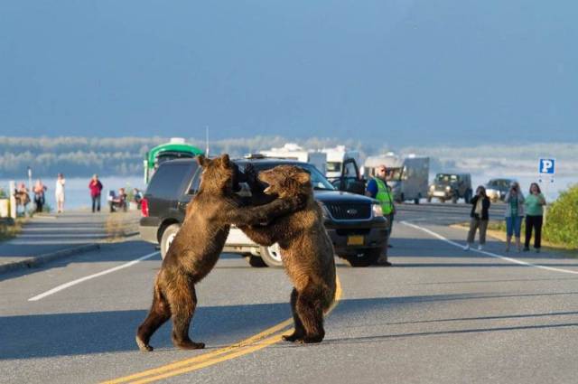 Daily Picdump