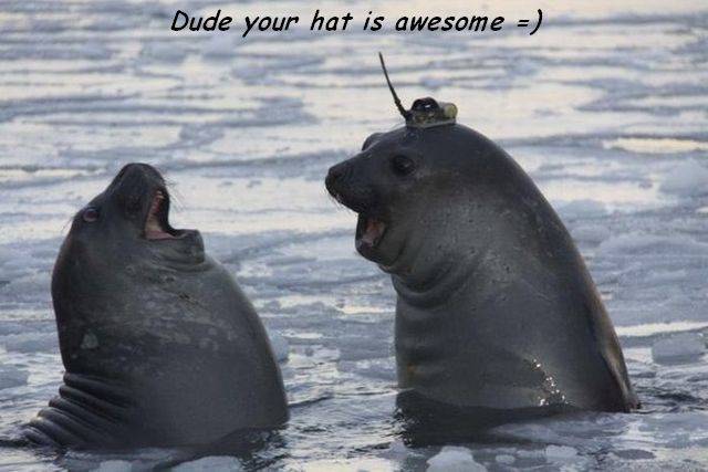 Daily Picdump
