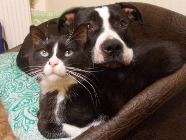 Daily Picdump