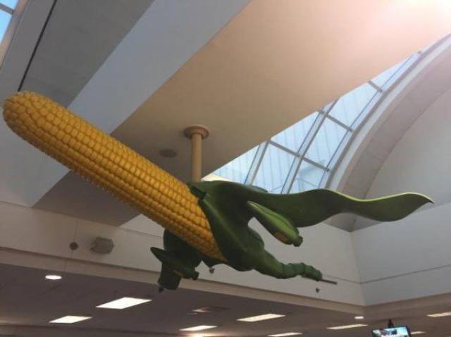 Daily Picdump