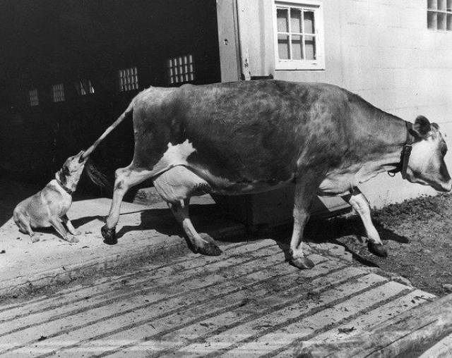 daily picdump 101 pics 48.html - 101 HD Photos | Premium Gallery 2017