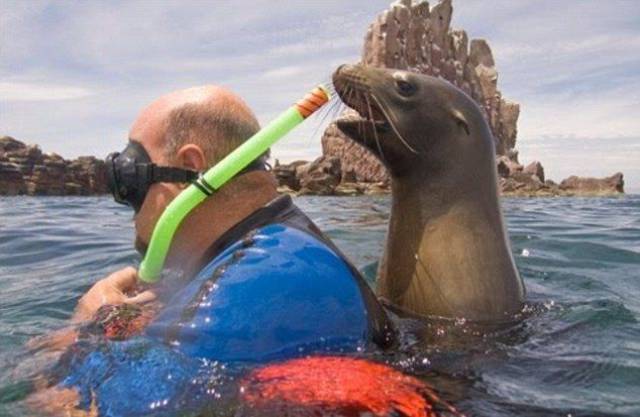 daily picdump 101 pics 48.html - 101 HD Photos | Premium Gallery 2017