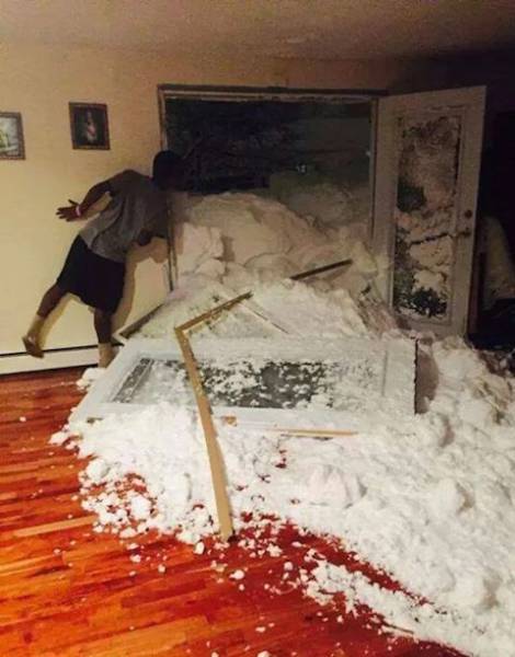 daily picdump 101 pics 48.html - 101 HD Photos | Premium Gallery 2017