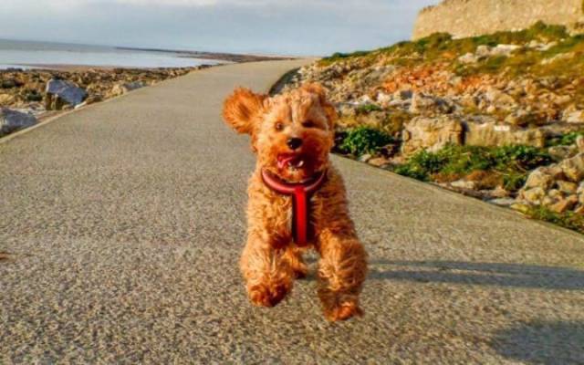 daily picdump 101 pics 48.html - 101 HD Photos | Premium Gallery 2017