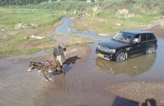 daily picdump 101 pics 2.html - 101 HD Photos | Premium Gallery 2017