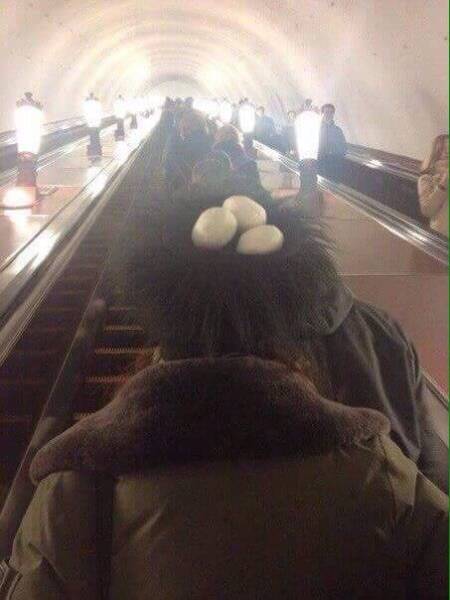 daily picdump 96 pics 32.html - 96 HD Photos | Premium Gallery 2017