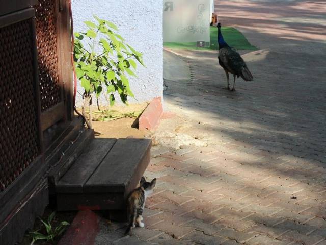 daily picdump 96 pics 32.html - 96 HD Photos | Premium Gallery 2017