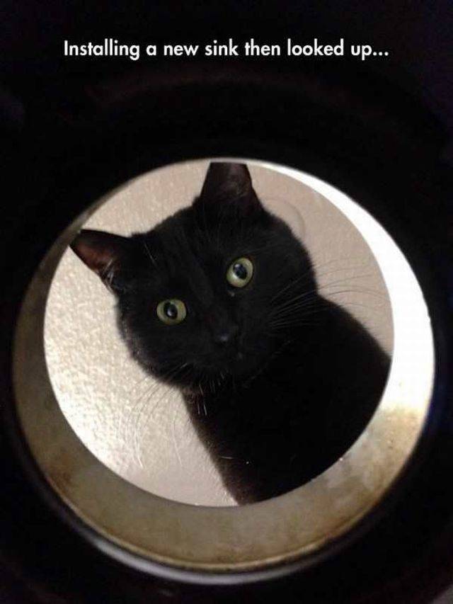 daily picdump 96 pics 32.html - 96 HD Photos | Premium Gallery 2017