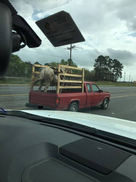 daily picdump 96 pics 21.html - 96 HD Photos | Premium Gallery 2017