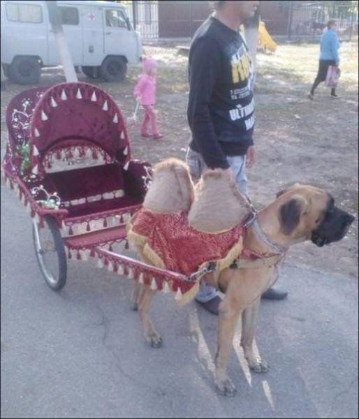 daily picdump 100 pics 31.html - 100 HD Photos | Premium Gallery 2017