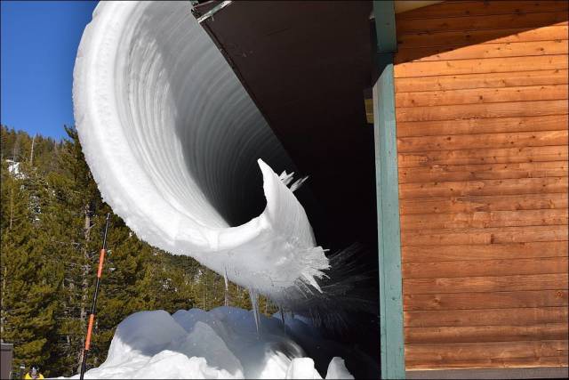 daily picdump 100 pics 31.html - 100 HD Photos | Premium Gallery 2017