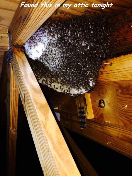 daily picdump 100 pics 31.html - 100 HD Photos | Premium Gallery 2017