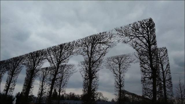 daily picdump 100 pics 31.html - 100 HD Photos | Premium Gallery 2017