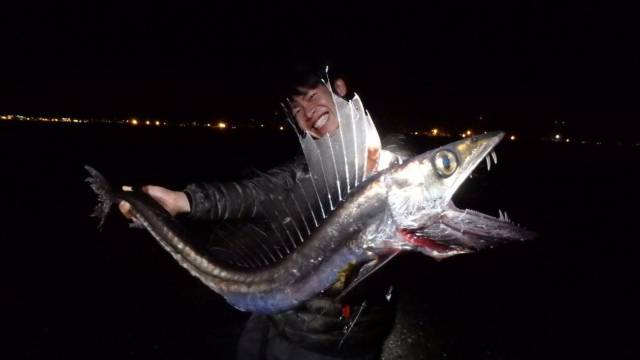 daily picdump 100 pics 31.html - 100 HD Photos | Premium Gallery 2017